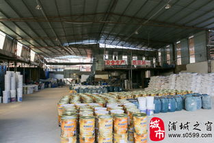 匠心筑梦，品质为基——走进福建省浦城石尚涂料厂