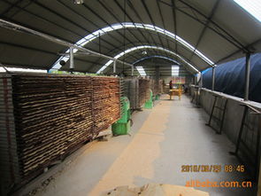 建筑建材 构筑现代文明的基石